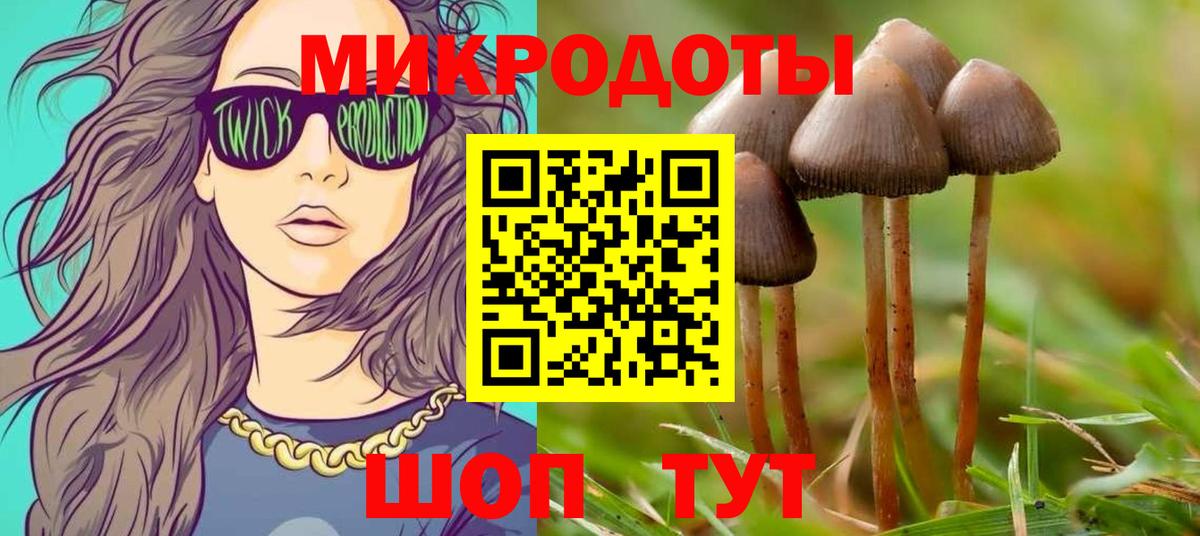 Кольчугино  Галлюциногенные грибы мицелий  Вход с VPN 